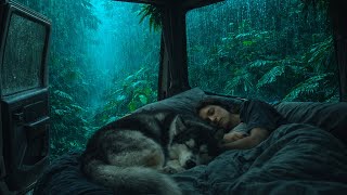 Rain on Window for Sleep | Calm Your Mind & Drift Into Deep Rest✨💤