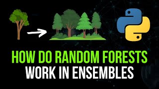 How Do Random Forests Work & What is Ensemble Learning