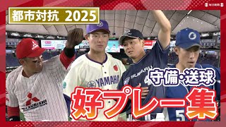 2025 Intercity Baseball Tournament: Watch all the great defensive and throwing plays!