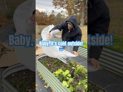 Cold weather prepping on the farm. Temps dropped to the 20’s overnight! #farmlife