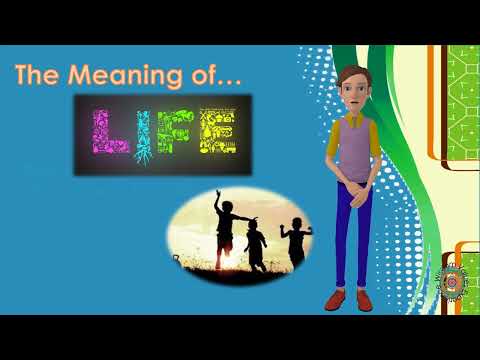 Meaning of Life