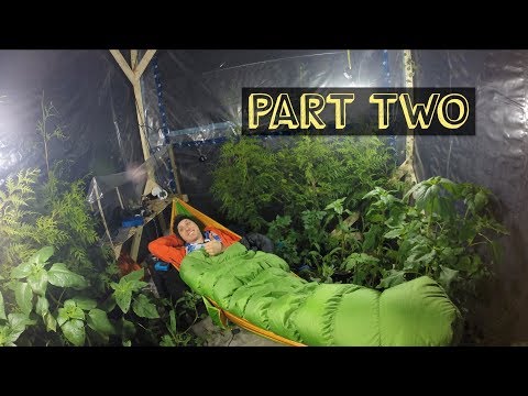 What Went Wrong In My Homemade Biodome: Part Two