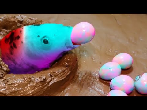 Ocean Playtime with Cartoon Toy Fish: Dive In!video for kids