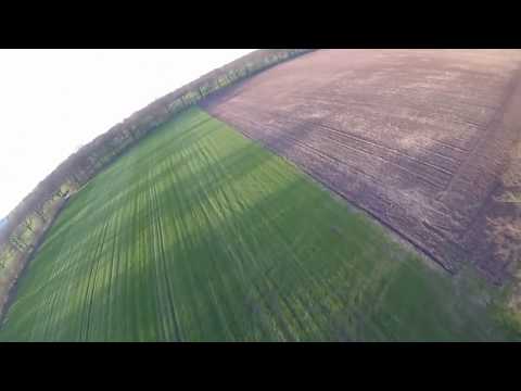 Waves above a field