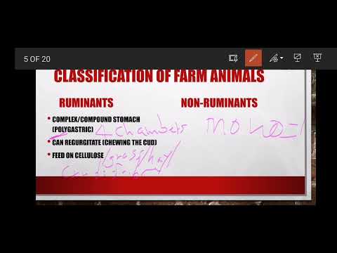 Classification of Farm Animals (Grade 12 Agricultural Sciences) Animal Nutrition