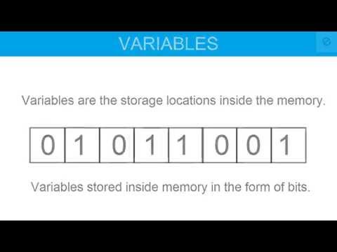 Variable and Data Type in C Programming