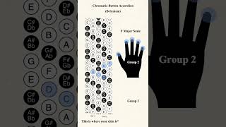 What fingers to use for a Major Scale on B-system chromatic button accordion