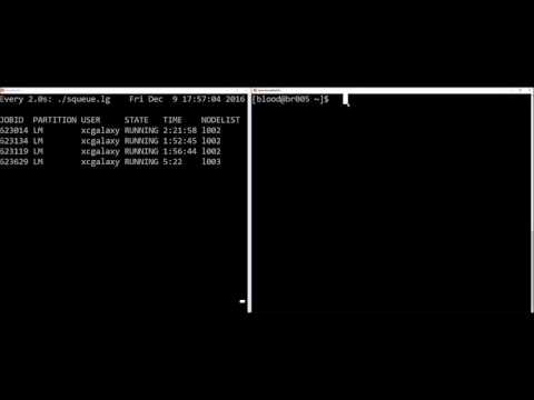 Bridges Galaxy Main Demo