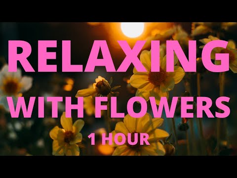 ✅ Relaxing video with flowers 🌻 🌹 💐 and music for sleep, nerve relaxation, meditation, chill out