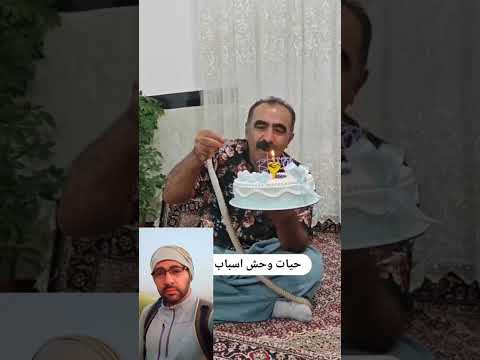 زجر جانوران توسط انسان