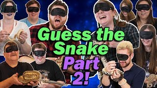 Blindfolded Snake Challenge (Game)- Part 2!