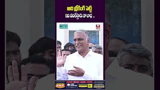 Harish Rao About kadiyam comments #brspaty #latestnews #ktr #warangal #breakingnews #hittvtelugunews