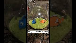 #diy Diy “magic” fish tank 🐟 #petvlog #DIY #diychallenge #diyproject #tiktokdiy