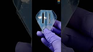 Waldent Maxbite Intraoral Lighting | Rechargeable Oral Care Solution