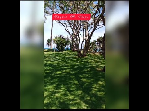 #2 Silent LS/ 04-12-22