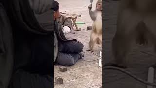 mankada raja #shorts #viral tatekahili ja#funnyvideo