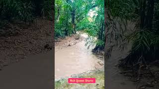 Rainforest Vibes 🙃🥰