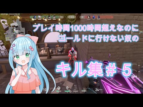 【バ美肉Vtuber】プレイ時間1000時間超えてもゴールドに行けない奴のキル集＃５（VALORANT）（DON'T STOP THE MUSIC 頭文字D）