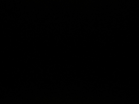 Big Niqo Live Stream