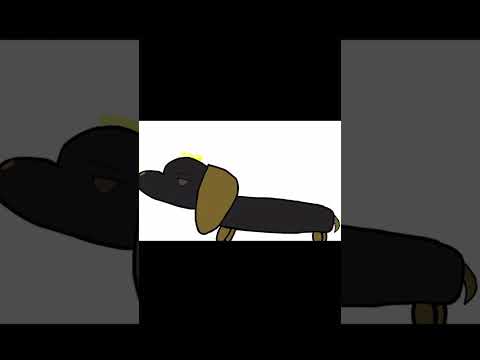 Butter dog 🧈🐕👌 #meme #dog #butterdog #animation #memes #funny #butter #funnymemes #shorts