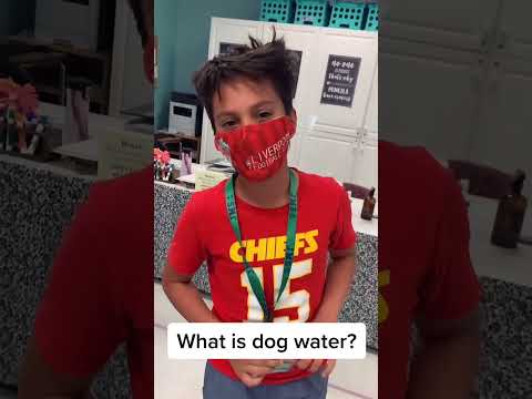 Decoding Slang: What Does 'Dog Water' Really Mean? Class Explains#SlangTerms #DogWater