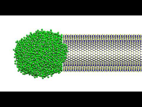 GdCl3 imbibition by WS2 nanotube