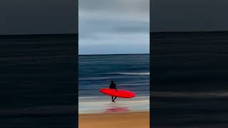 New arrivals at the Lahinch Art Gallery from acclaimed Irish artist Corrina Earlie