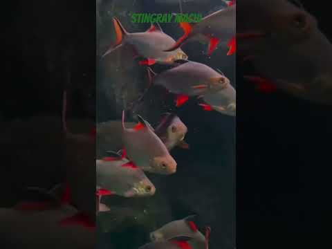 ##instaartist #arts #myart #artistic#