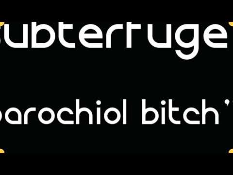 Subterfuge - "parochial bitch" (demo)