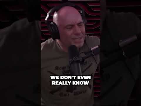 Joe Rogan on Animals Real Intelligance