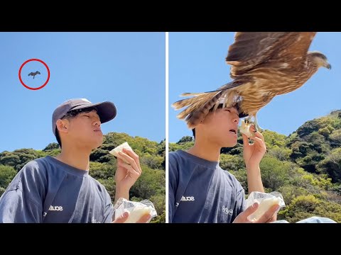 This Bird Ruined His Pleasant Moment🤣