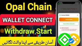 How to Connect Your Web3 Wallet on Opal Chain (Step-by-Step Guide)