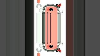CoComelon Special Intro Effects #7