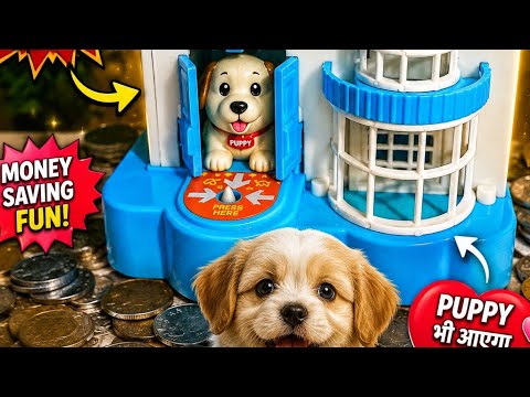Sun Toons React is live puppy money saving 😱🐕🐕
