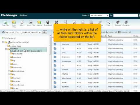 How to use file manager in cPanel