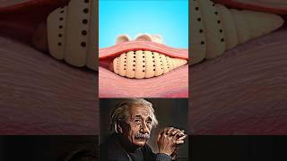 Sigma physics teacher🗿#shorts #sigmaphysics #physics