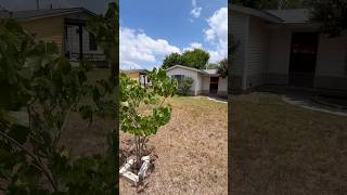 Are you still renting #sanantoniorealestate #sanantoniohomes #sanantoniorealtor #firsttimehomebuyer