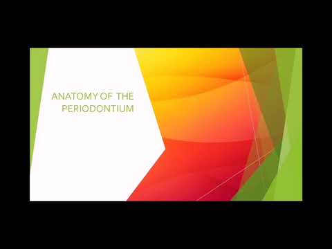 Peridontium