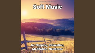 Relaxation Music to Chill To