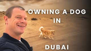 Owning a dog in Dubai