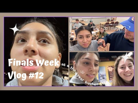 Finals week | Fall 2023 RIT | Vlog #14