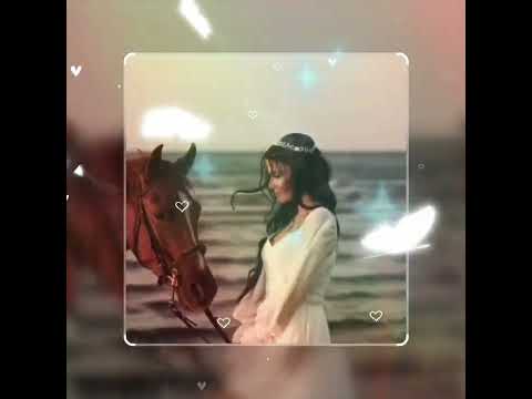 قيس وليلى..محمد رحيم promo