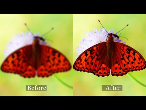 How to Sharpen Blurry Photos in Photoshop & Sharpen AI