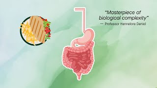 Gut physiology meets microbiome science.