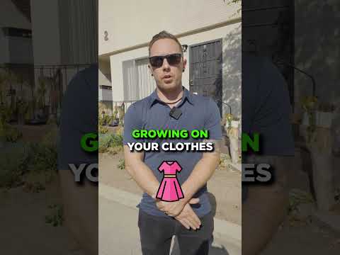 Should You Toss Moldy Clothes?