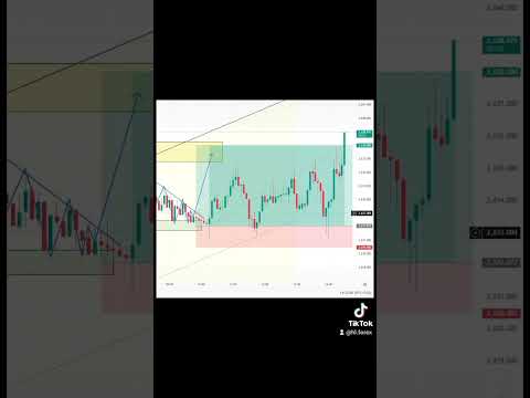 "Kicking off the year with a winning trade!" ❤️🔥💫 #HL_Forex #forex #trading #fyp #trending #viral
