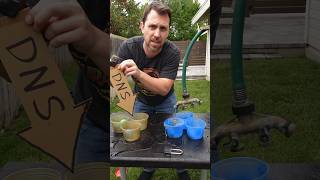 Blue green vs in place Kubernetes upgrades