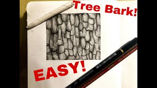 How To Draw Tree Bark (Beginners)