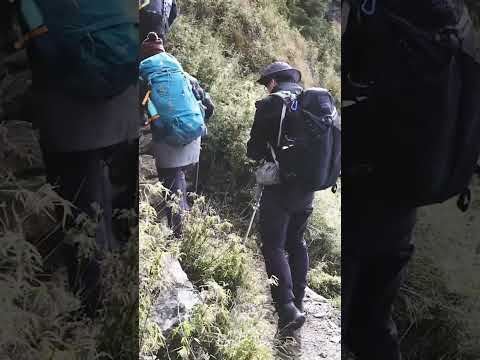 郡大山-心靈饗宴