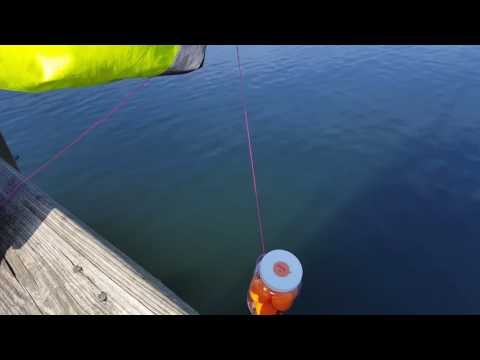 Jan 21 devRant bottle test d1